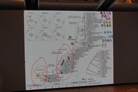 
DSC00315